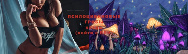 дживик Алзамай