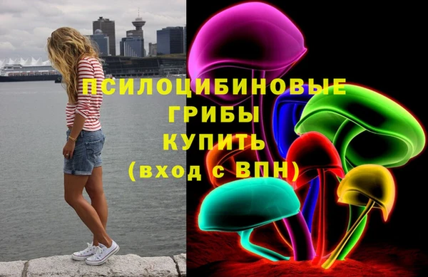 шишки Алексин