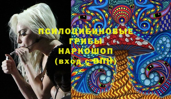 шишки Алексин