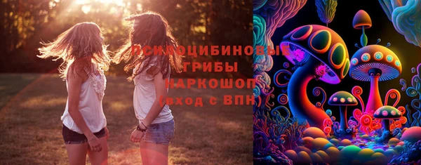 2c-b Абаза