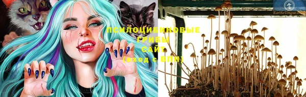 дживик Алзамай