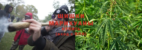 шишки Алексин