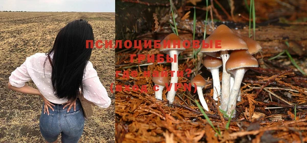дживик Алзамай